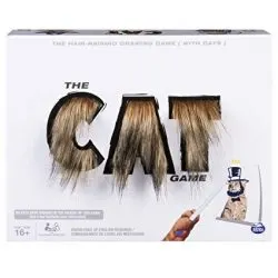 cat game